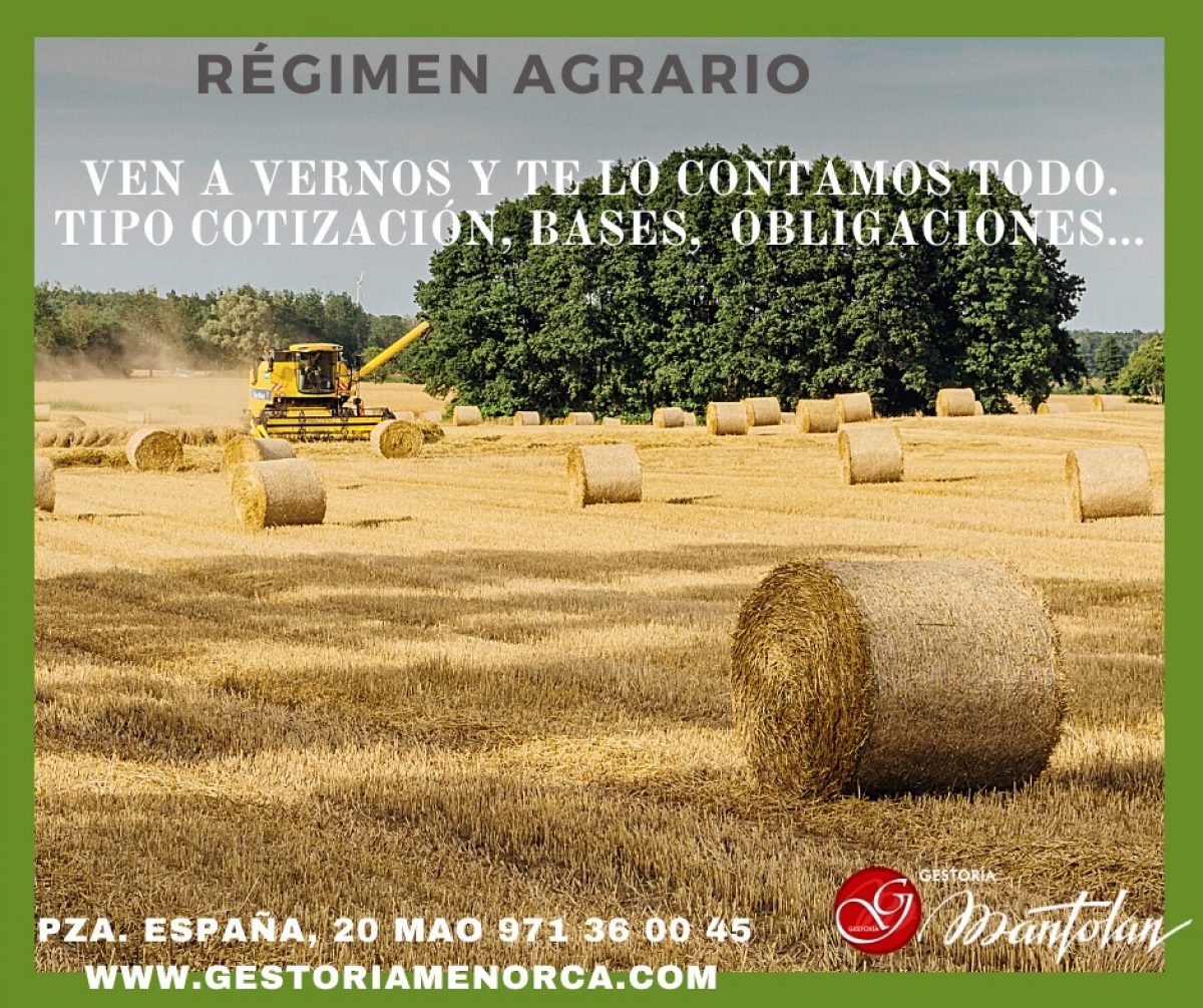 Asesoramiento laboral Menorca