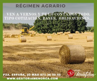 Asesoramiento laboral Menorca
