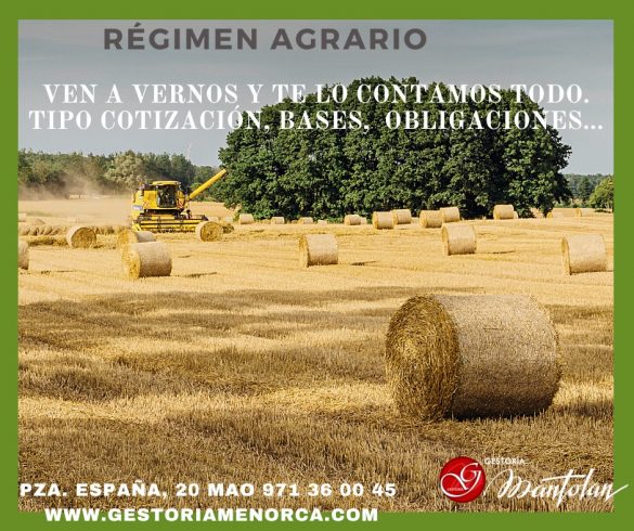 Asesoramiento laboral Menorca